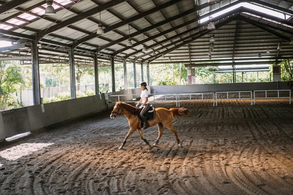 prefabricated_metal_horse_barns_101